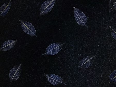 Negative of Skeletal Leaves on a rough hand made cotton paper