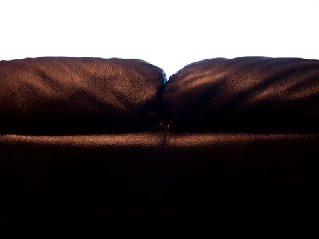 Back View Of A Giant Italian Sofa Silhouette