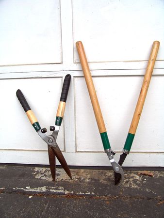 Hedge shear, bypass lopper, scissors gardening tools                        の写真素材
