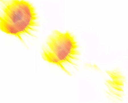 Beautiful Sunflower Flower Heads Zoom Burst Photomontage  (This photo was taken using interesting Zoom Burst technique, which achieves by zooming while the shutter is open with a relatively slow shutter speed. The low light entering through the smaller apの写真素材