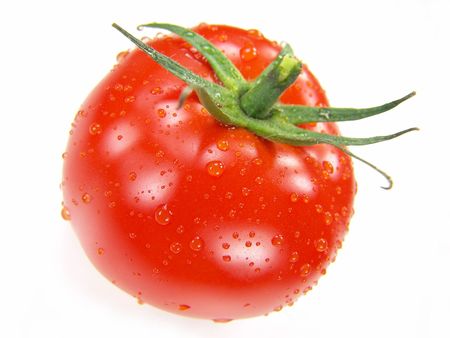 Isolated fresh tomato with stem and water drops close-up (vivid colors)                               の写真素材