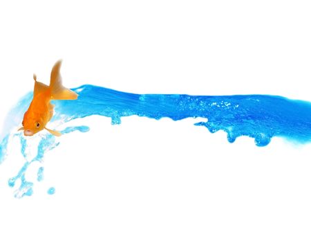 Mouth Open Talking Goldfish Riding on Blue Splashing and Falling Liquid - Isolated blue liquid splashing and falling in the air                               の写真素材
