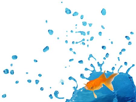 Goldfish Splashing on Bule Liquid - Isolated blue liquid splashing and falling in the air                               の写真素材