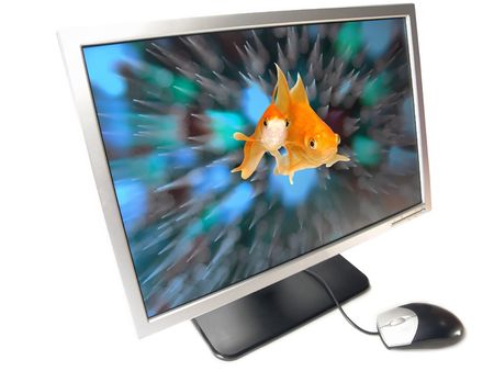 Environmental Friendly Green Technology - A pair of goldfishes coming out from a Wide Screen Computer Monitor (Isolated on white background)                  の写真素材