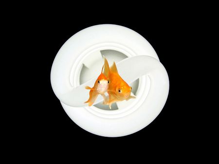 Environmental Friendly Green Technology Light Bulb- Macro Vertical View of an Energy Saver Light Bulb and a pair of goldfishes swimming towards you                               の写真素材