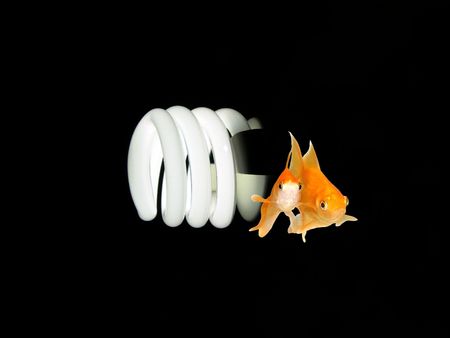 Environmental Friendly Green Technology Light Bulb- Macro Vertical View of an Energy Saver Light Bulb and a pair of goldfishes swimming towards you                            の写真素材