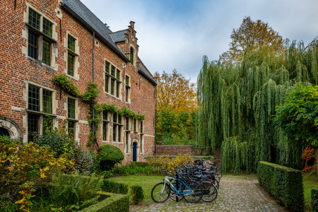Peaceful scene in the Groot Begijnhof with bicycles parked beside ivy-covered brick houses and autumn trees under cloudy sky.の写真素材