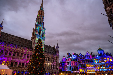 Brussels, Belgium - Nov 30, 2025: Christmas tree and City Hall illuminated during the Winter Wonders light show at Grand Place.のeditorial素材