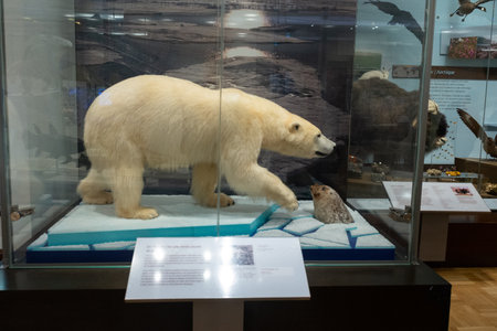 Toronto, ON, Canada - November 20, 2022: Visitors in the Royal Ontario Museum