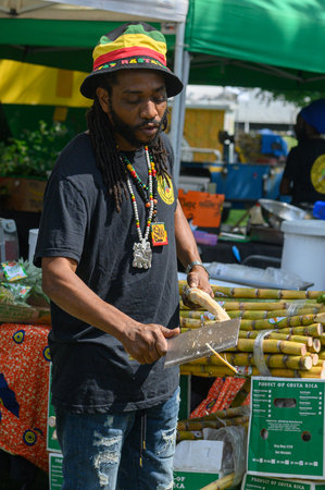 Toronto, ON, Canada - August 5, 2023:  A man with a knife peels sugar cane to prepare a drink during the Toronto Caribbean Carnivalのeditorial素材