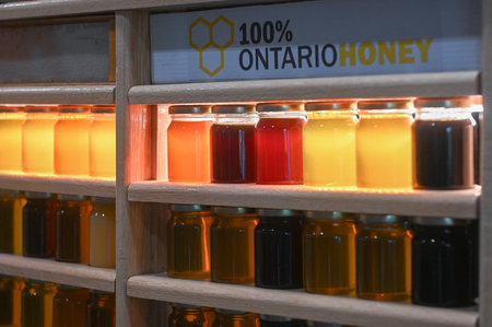 Toronto, ON, Canada - November 14, 2025: Rows of honey jars presenting varying colors and textures, showcasing different Ontario honey types at an agricultural fairのeditorial素材