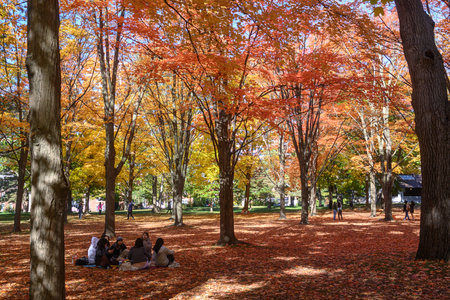 Toronto, ON, Canada - October 10, 2025: Group of young adults enjoying a picnic on a blanket amidst vibrant orange and yellow maple trees, celebrating fall in Torontoのeditorial素材