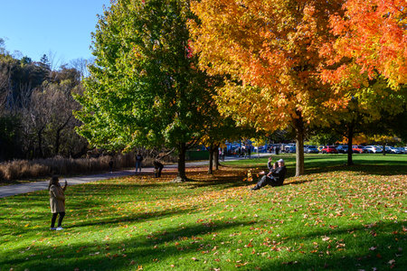 Toronto, ON, Canada - October 10, 2025: People enjoying a sunny autumn day in a Toronto park, with trees showing vibrant fall colors and fallen leaves covering the grassのeditorial素材