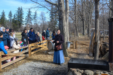 Oakville, ON, Canada - March 11, 2026: People watch a demonstration of how maple syrup is made at...
