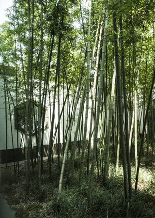 suzhou museumのeditorial素材