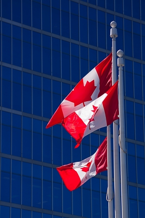 Canada flags before corporate blue background の写真素材