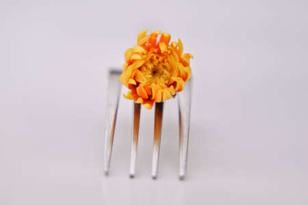 Flower and fork on white backgroundの写真素材