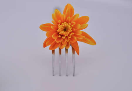 Flower on a fork on white backgroundの写真素材