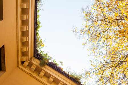 Photo of the roof of a yellow old house against the sky and trees in the city.