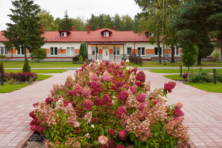Photo of flower beds with beautiful flowers in the park near the building.の写真素材
