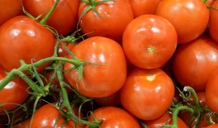 Photo of red tomatoes in the store.の写真素材
