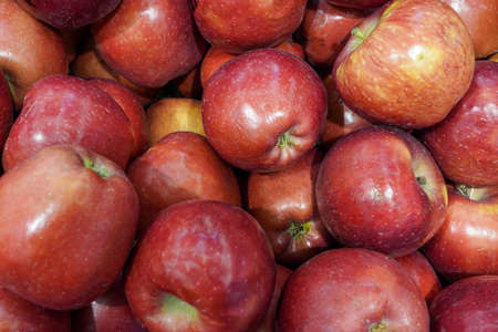 Photo of red apples in the store.の写真素材