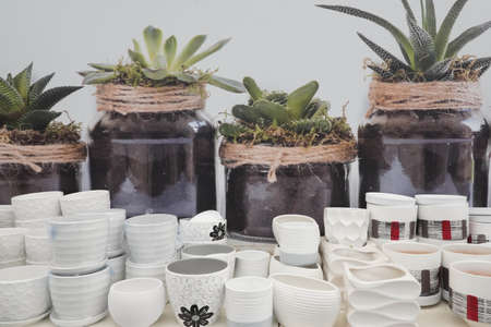 Photo of white empty white plates and jars with earth and green plants.