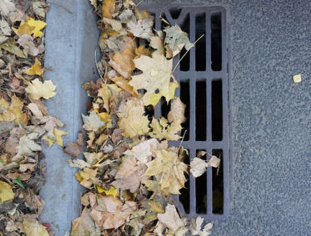 Photo of yellow and orange autumn leaves on the road near the drain for water.の写真素材