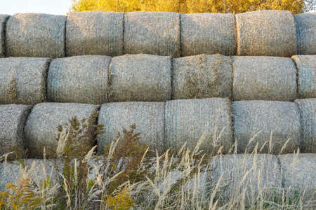 Photo of haystacks on a field on a sunny day.