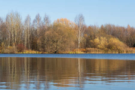 Photo of bare trees near the blue river and the sky. Nature and forest concept.の写真素材