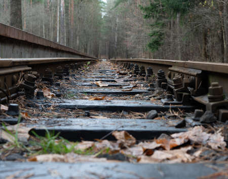 Photo of an old wooden abandoned railway strewn with orange and yellow autumn maple leaves at the background of trees in forest. Nature and train concept.の写真素材