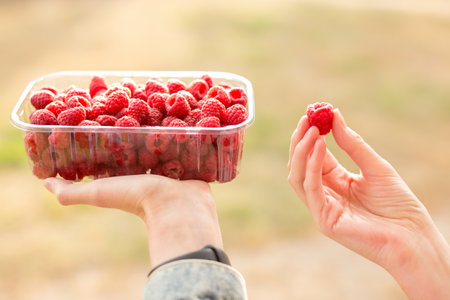 Fresh raspberries. Hand holds a juicy fresh raspberry. Season of fruit and jam cooking. Raspberry...