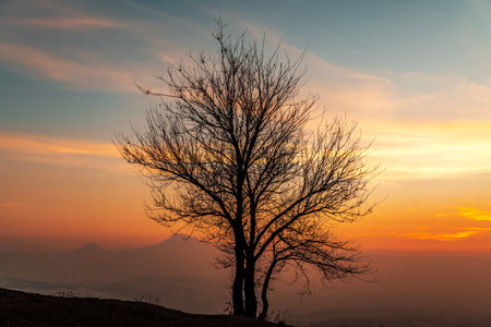 Silhouette of tree on mountain and sunset sky background at sunsetの写真素材