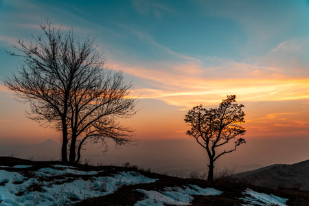 Silhouette of tree on mountain at sunset in winter season.の写真素材