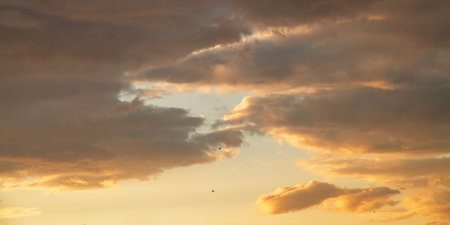 Cloudscape, Colored Clouds at Sunset near the Ocean with a Golden Lightの写真素材