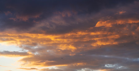 Cloudscape, Colored Clouds at Sunset near the Ocean. Sky Background