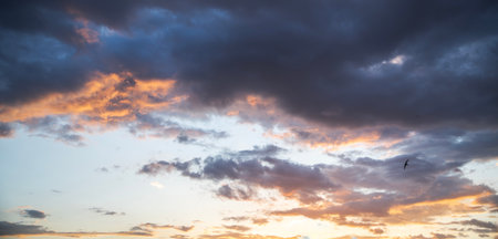 Sunset sky with clouds and birds. Panoramic view.の写真素材