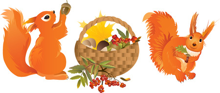 Squirrels with a basketのイラスト素材