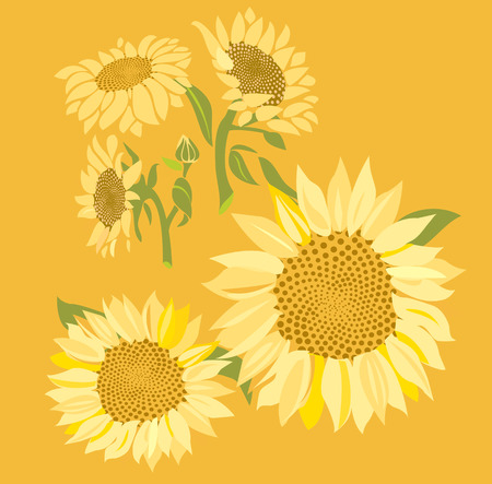 Sunflowersのイラスト素材