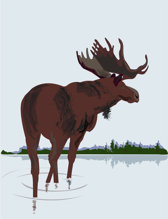 Mooseのイラスト素材