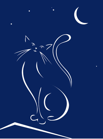 Cat on a roof at nightのイラスト素材