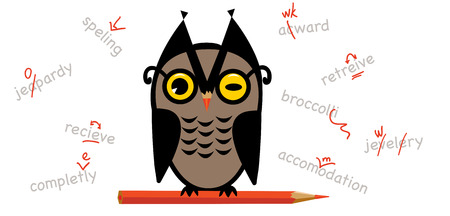 Owl proofreadingのイラスト素材
