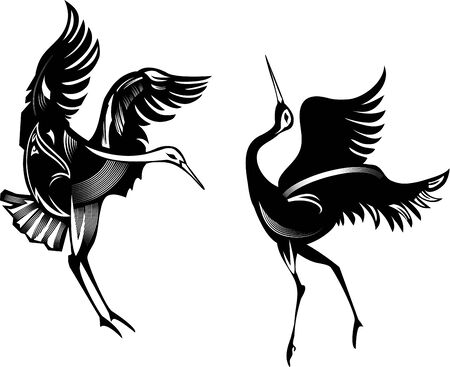Two cranes dancingのイラスト素材