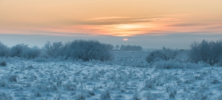 Beautiful winter landscape at sunset with mist, frost, and snowの写真素材