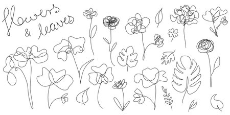 One line flowers vector illustration isolated on white backgroundのイラスト素材