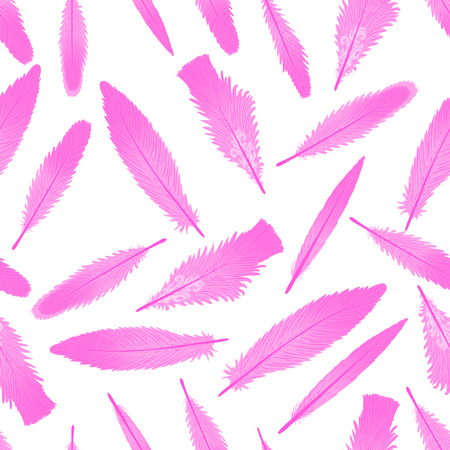 Vector Flamingo feathers seamless pattern on white background.の写真素材