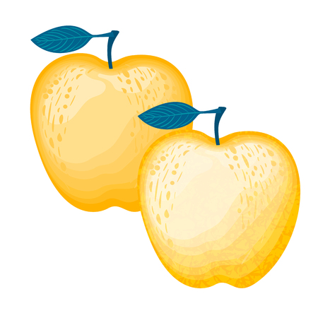 Vector Set Yellow Apple isolated on white background.のイラスト素材