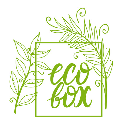 Vector Eco Box inscription lettering sign.のイラスト素材