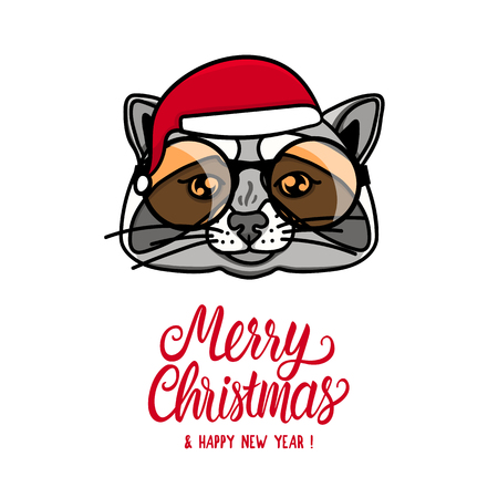 Funny raccoon. Merry Christmas and happy new year. Animal head with santa hat. Vector hand drawn illustration isolated on white backgroundのイラスト素材