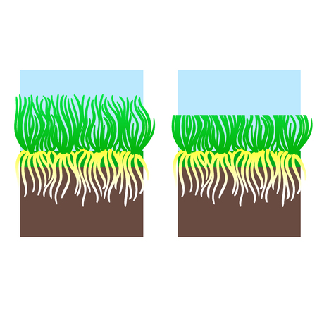 Lawn mowing stage illustration. Gardening shearing grass lawncare, landscaping service. Vector isolated on white backgroundのイラスト素材